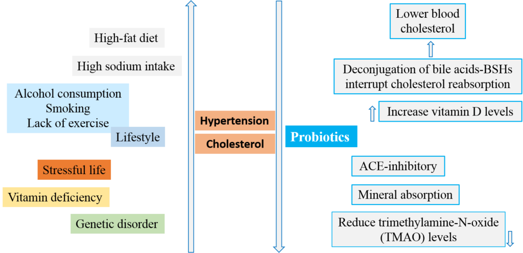 hypertension probiotics
