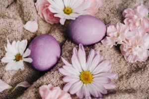 Spring Allergies Alert: How Gut Health Can Help Relieve Allergy Symptoms Naturally